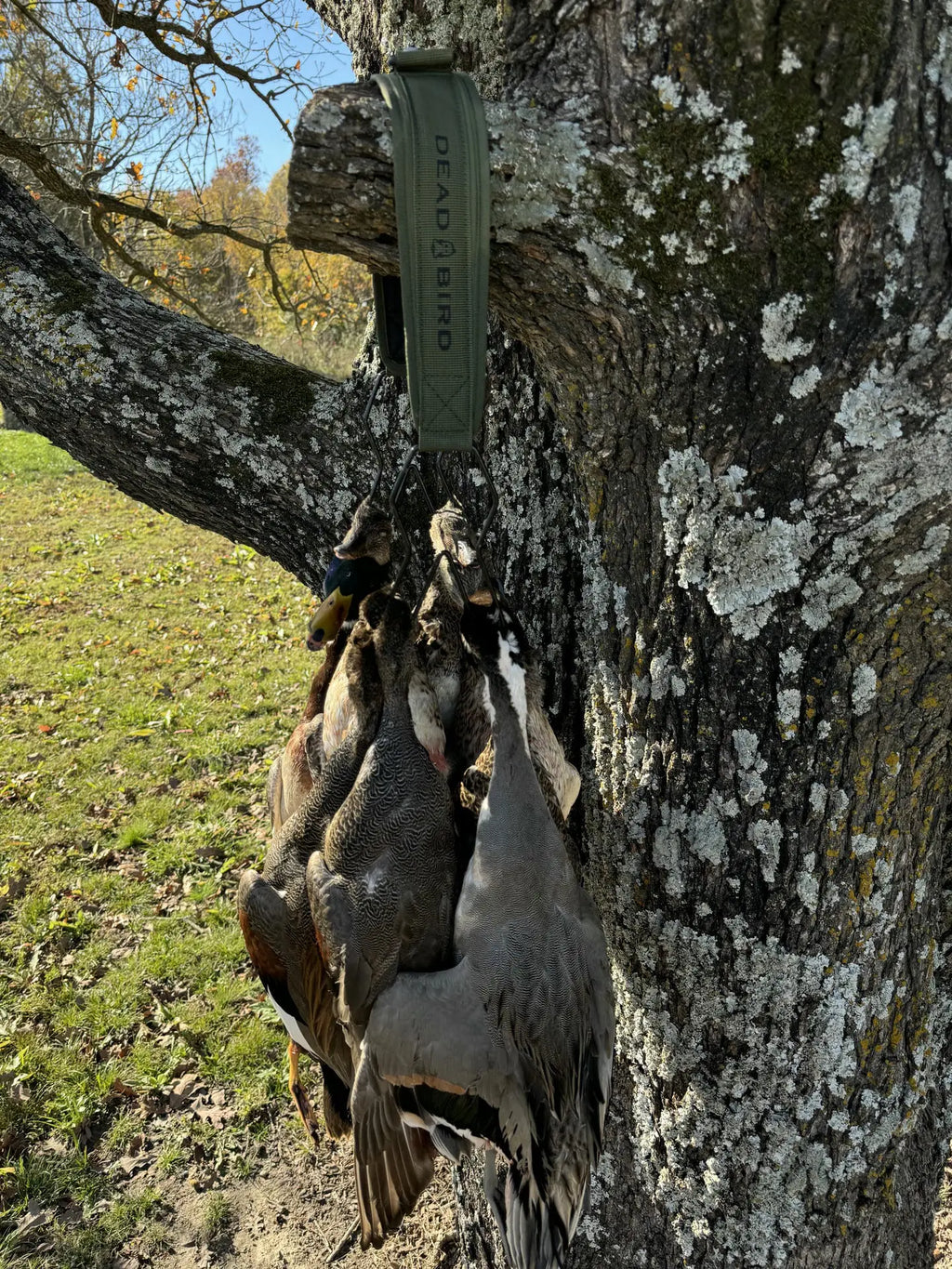 Dead Bird Heavy Hitter Bird Strap