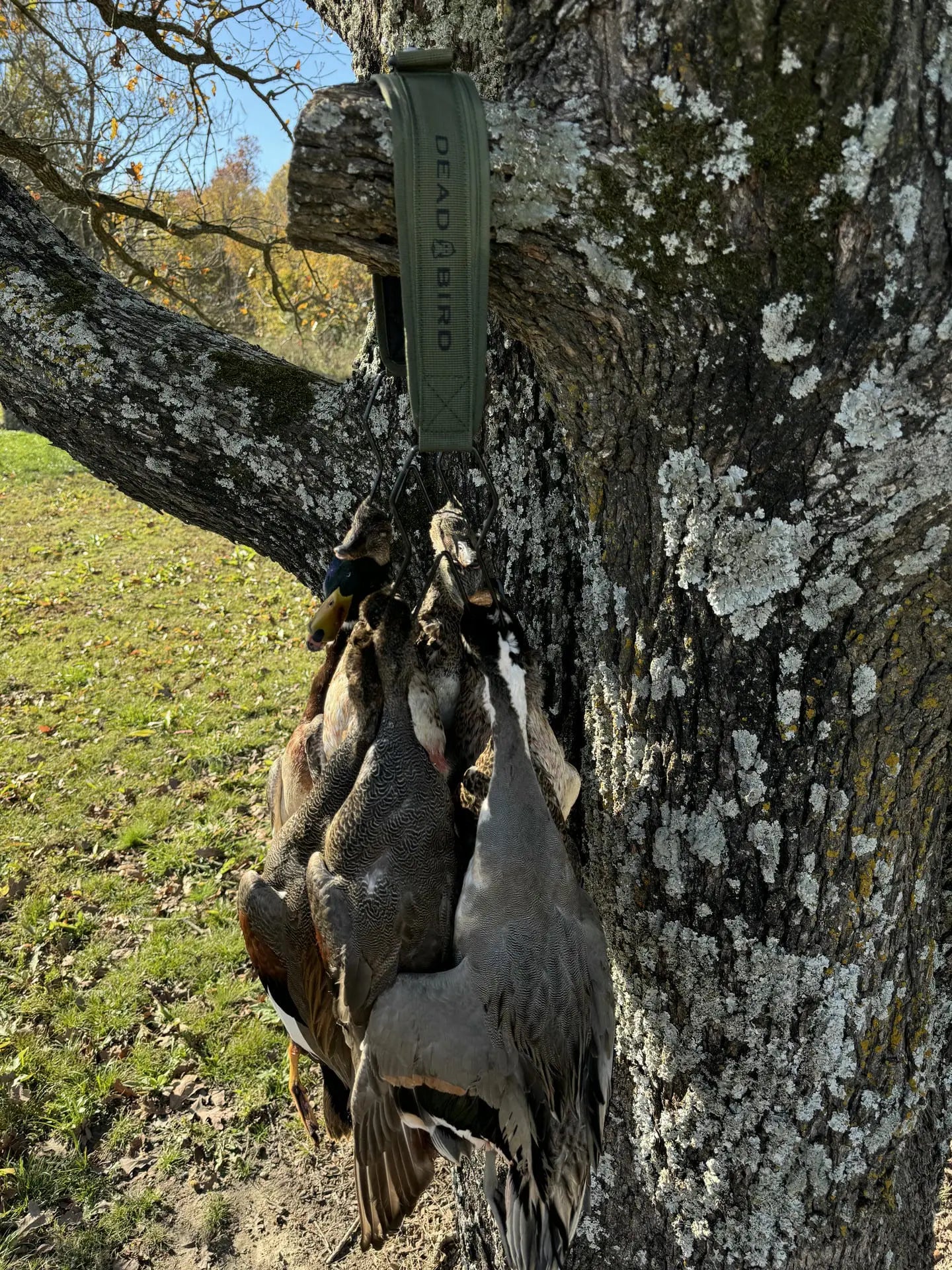 Dead Bird Heavy Hitter Bird Strap